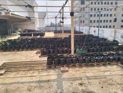 Program Ketahanan Pangan Sudis KPKP Jakbar Hanya Seremonial, Bibit Cabai Mati Sebelum di Tanam