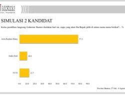 Beredar Survei LSI, Elektabilitas Airin Capai 77,3 Persen