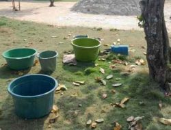 Pemerintah Daerah Tanggap Atasi Krisis Air Bersih, Masyarakat Mulai Terima Bantuan