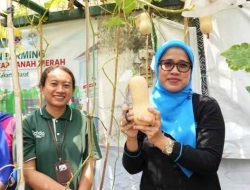 Peraiapan Gebyar TALALU 2024, Ketua TP PKK Jakbar Tinjau RPTRA dan Kelas Berkebun