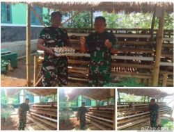 Memanfaatkan Lahan Kosong, Koramil 1907/Bungursari Ternak Ayam Petelur