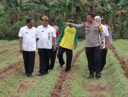 Kapolres Sarolangun Lounching Gugus Tugas Polri Dukung Ketahanan Pangan Dengan Ditandai Tanam Jagung
