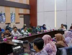 Pemkab OKU Selatan Gelar Asistensi Penyusunan Standar Pelayanan Publik Secara Hybrid Dengan Kementerian PAN – RB
