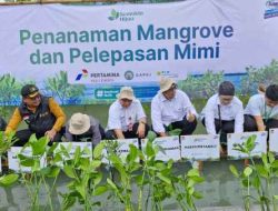 Pemkab Tangerang Gelar Tanam Mangrove dan Tebar Mimi di Ketapang Urban Aquacultur