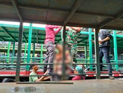 Auto Syok, Mekanik Temukan Pria yang ter’Gantung’ di Antara Truk di Garasi Gudang 