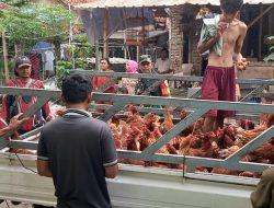 Korem 052/Wijayakrama Bantu Ternak Ayam Petelur di Panti Asuhan Yayasan Amanah Assodiqiyah
