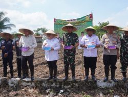 Dandim dan Kapolresta Tangerang Tanam Jagung Hibrida, Dorong Kemandirian Pangan Desa