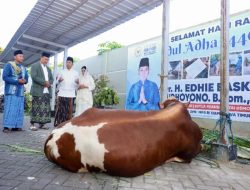 Edhie Baskoro Yudhoyono dan Istri Tunaikan Salat Idul Adha di Pacitan, Serahkan Hewan Kurban untuk Warga