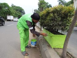Percantik Kota, Pemkot Tangerang Cat Ulang Pot Tanamanan di Sepanjang Jalan Daan Mogot