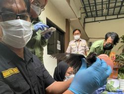 Karantina Banten Gagalkan Penyelundupan 742 Burung Liar di Pelabuhan Merak