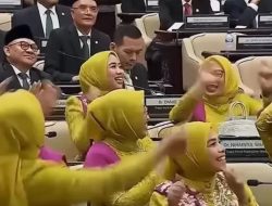 Joget Anggota Dewan Jadi Sorotan, Pimpinan DPR: Kami Tetap Profesional