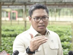 Kebocoran Pipa Minyak PT Vale Rugikan Petani, 30 Hektare Sawah Gagal Panen