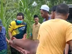 Pria Tak Beridentitas Ditemukan Bersimbah Darah di Sampang