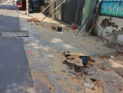 Aksi Penebangan Pohon Picu Polemik di Tambora, Warga Curiga Ada ‘Beking’