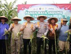 Panen Raya Jagung Serentak Kuartal I, Wabup Sukabumi: Kolaborasi Jadi Kunci Kemandirian Pangan