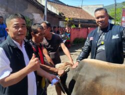 Idul Adha 1447 H, DPC PDI Perjuangan Sukabumi Salurkan Daging Kurban untuk Warga
