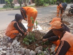 Kembangan Utara Hijaukan Eks Lapak PKL di Bantaran Kali Cengkareng Drain