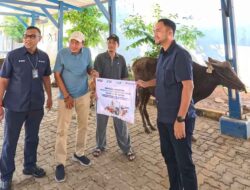 Pelindo Regional 2 Sunda Kelapa Salurkan 6 Hewan Qurban Melalui Program CSR