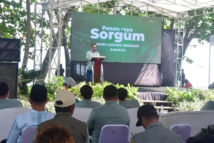 Pengembangan Sorgum Jadi Biomassa, Wabup Sukabumi Sebut Terobosan Strategis Energi Berkelanjutan
